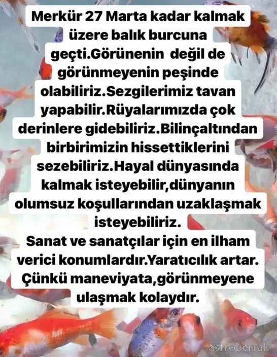 mer bal32.webp