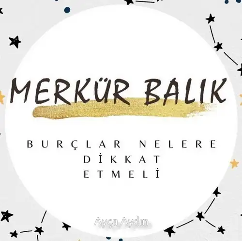 mer bal5 (1).webp