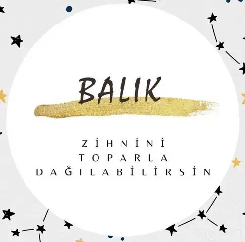 mer bal5 (13).webp