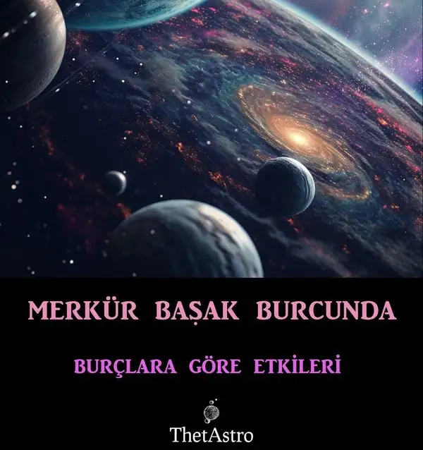 mer bas75 (1).webp