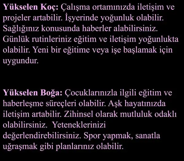 mer bas75 (2).webp