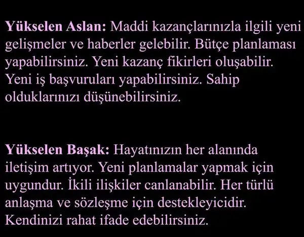 mer bas75 (4).webp