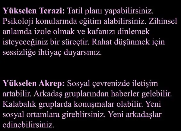 mer bas75 (5).webp