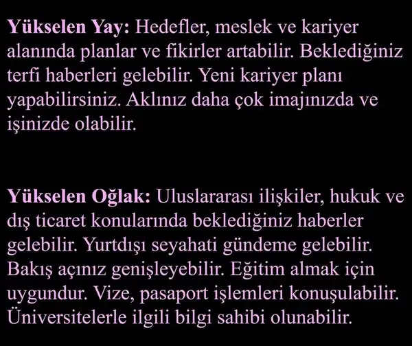 mer bas75 (6).webp