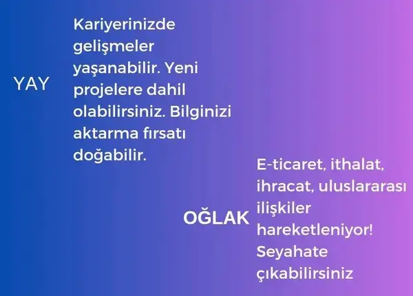 mer baş86 (5).webp