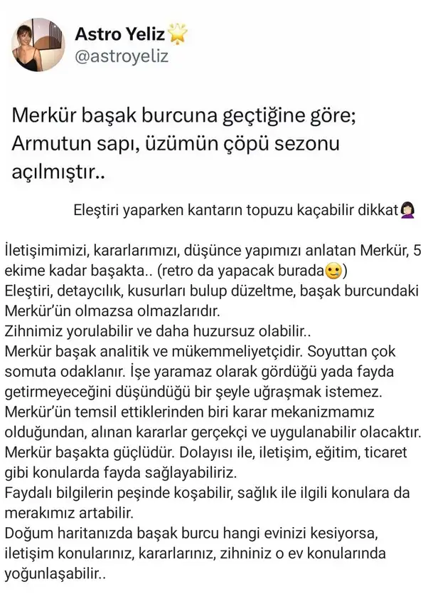 mer baş9.webp