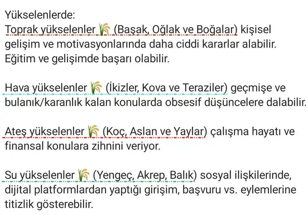 mer baş98 (2).webp