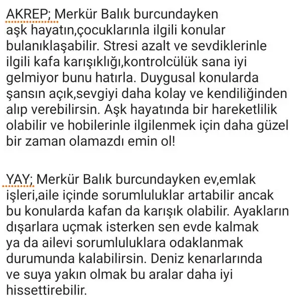 mer bl3 (3).webp