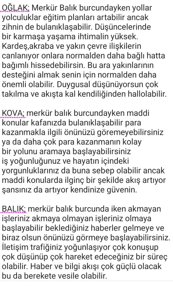 mer bl3 (4).webp