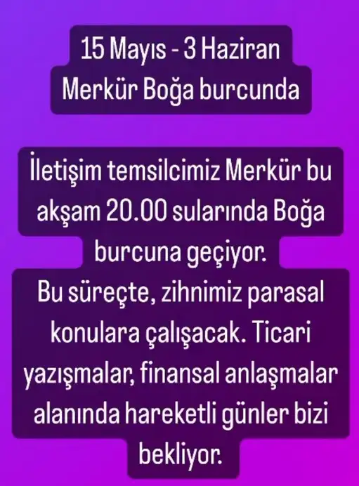 mer bo5 (1).webp