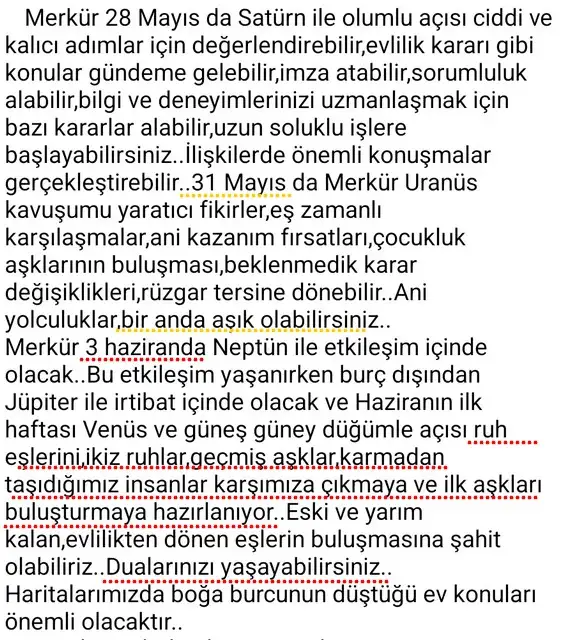 mer bo90 (3).webp