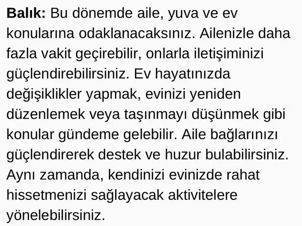 mer ik4 (13).webp