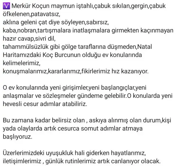 mer koç87 (2).webp