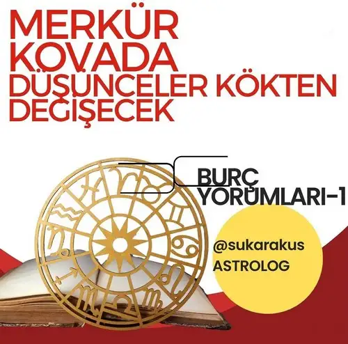 mer kov1 (1).webp