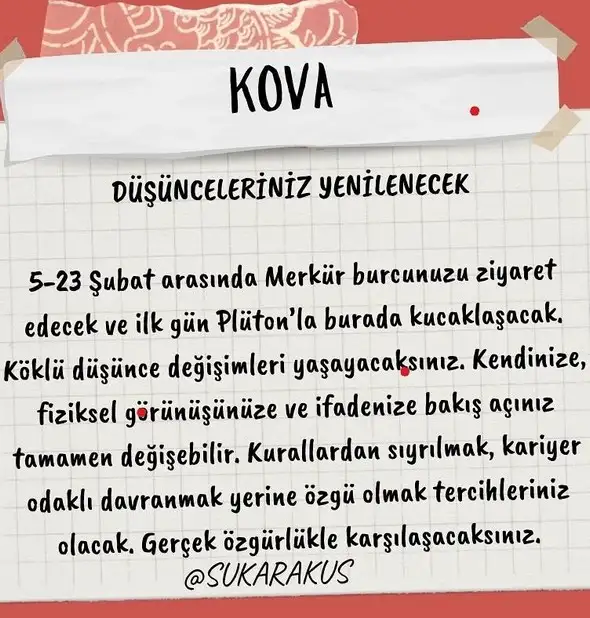 mer kov1 (12).webp