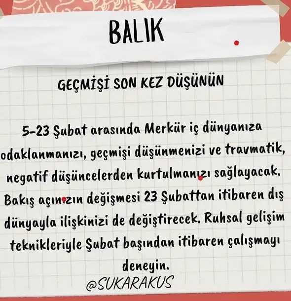 mer kov1 (13).webp