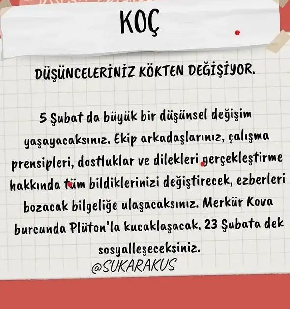 mer kov1 (2).webp