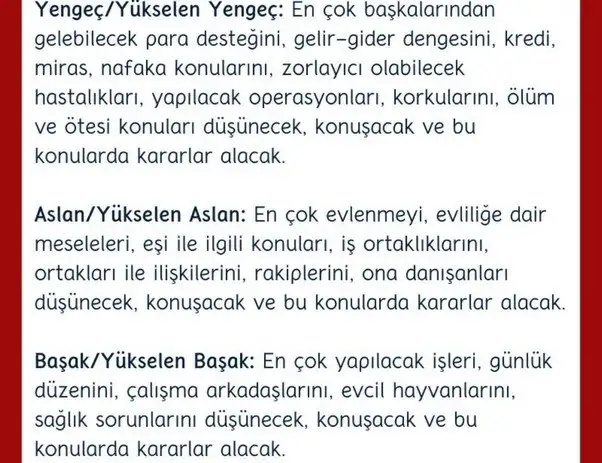 mer kov1 (2).webp
