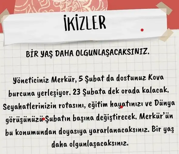 mer kov1 (4).webp