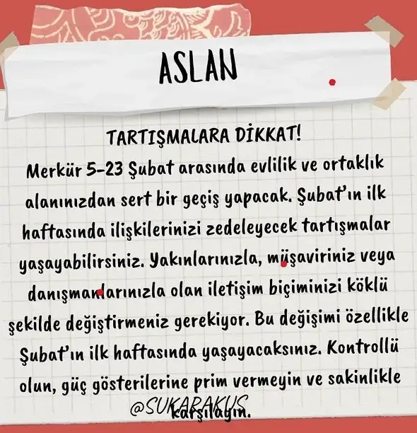 mer kov1 (6).webp