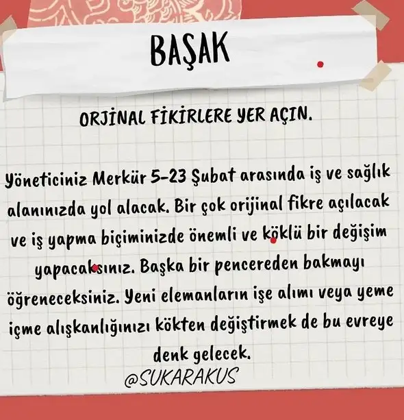 mer kov1 (7).webp