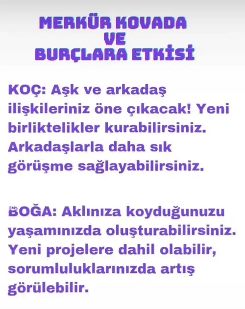 mer kov2 (1).webp