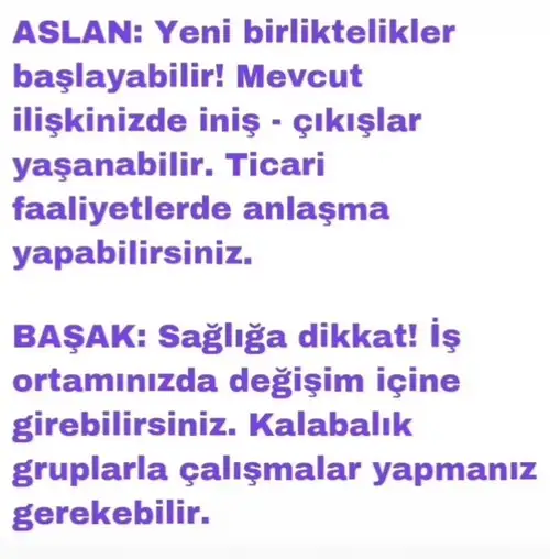 mer kov2 (3).webp
