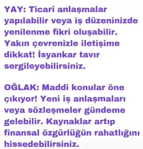 mer kov2 (5).webp
