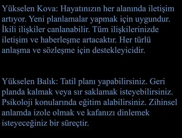 mer kov3 (7).webp