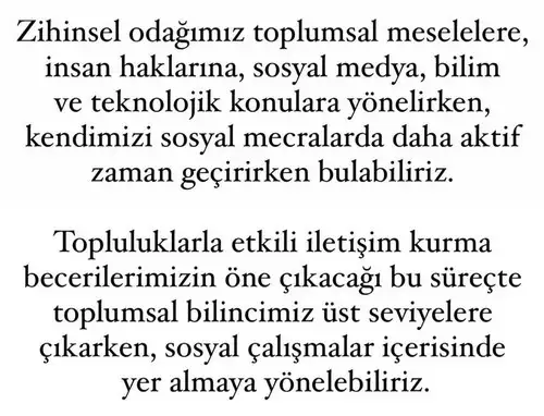 mer kov5 (5).webp