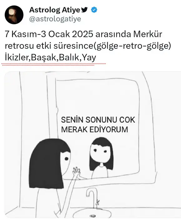mer ret.webp