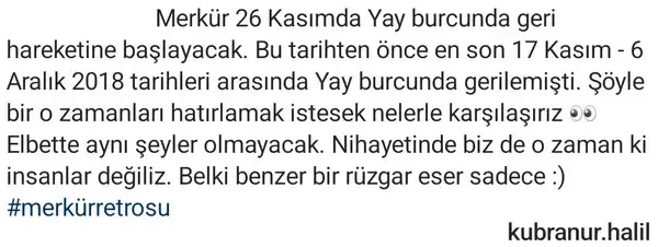mer ret0 (2).webp