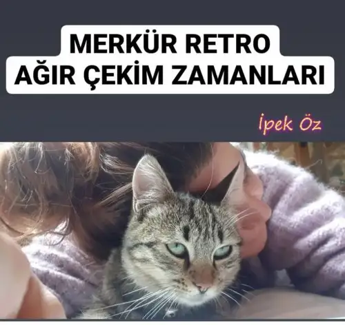 mer ret1 (1) - Kopya.webp