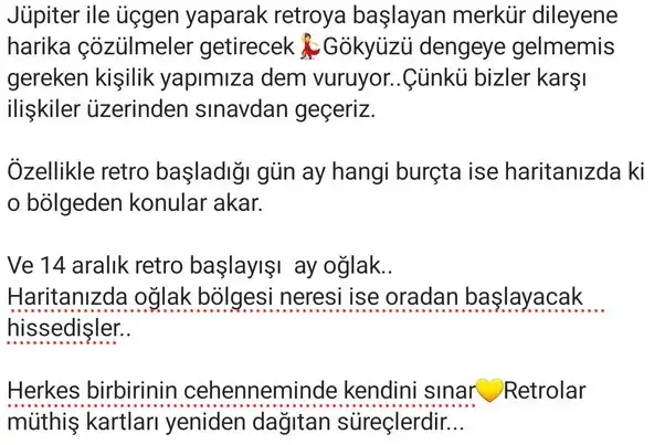 mer ret1 (2).webp