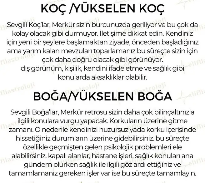 mer ret1 (2).jpg