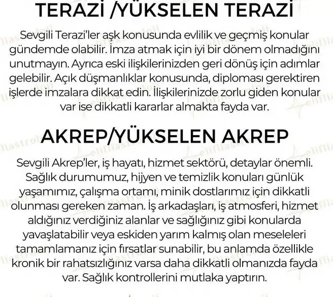 mer ret1 (5).jpg