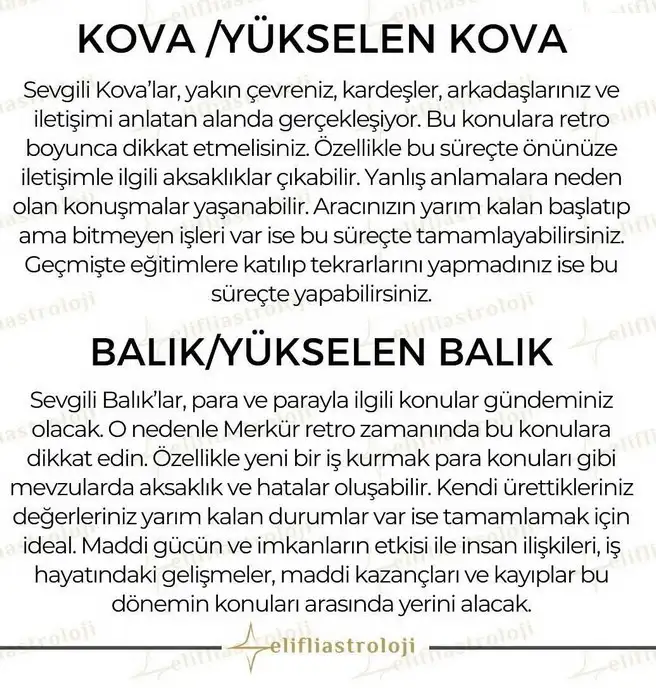 mer ret1 (7).webp