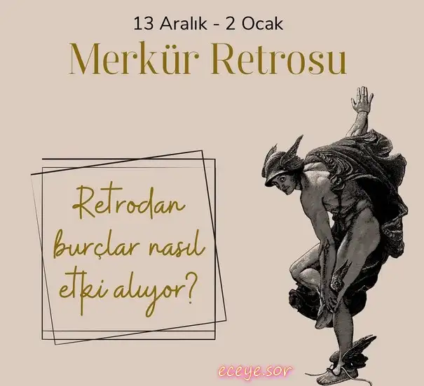 mer ret10 (1).webp
