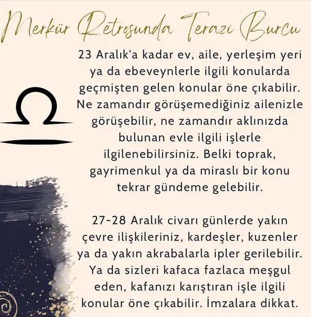 mer ret10 (10).webp
