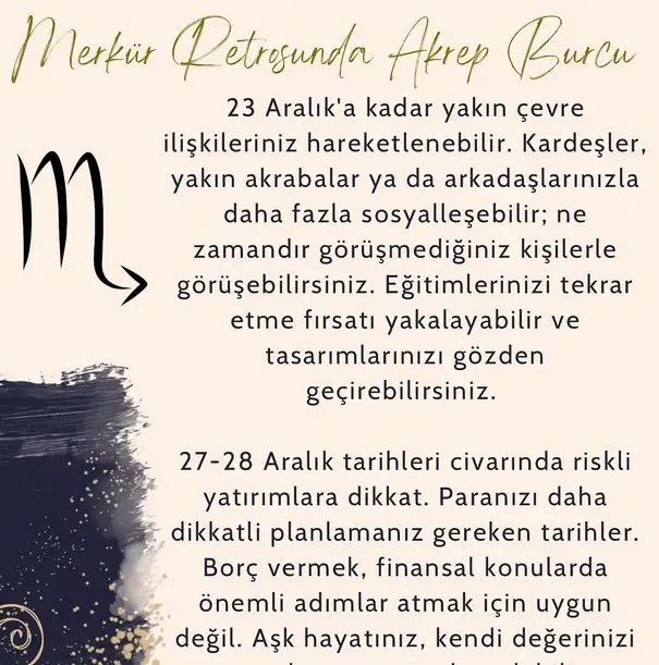 mer ret10 (11).webp