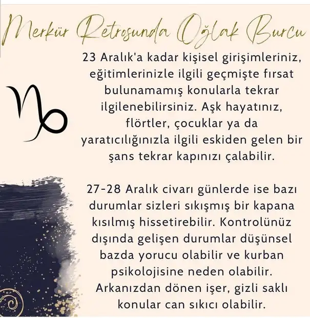 mer ret10 (13).webp