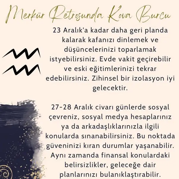 mer ret10 (15).webp