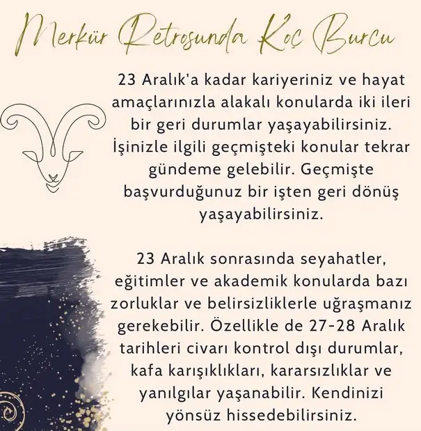 mer ret10 (2).webp
