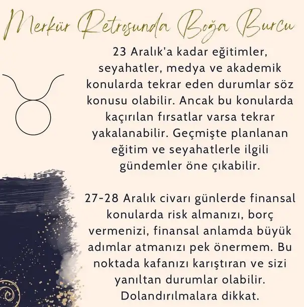 mer ret10 (3).webp