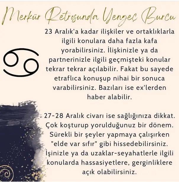 mer ret10 (7).webp