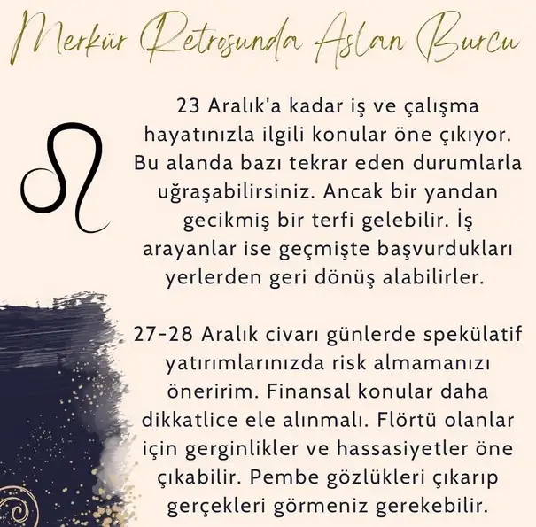 mer ret10 (8).webp