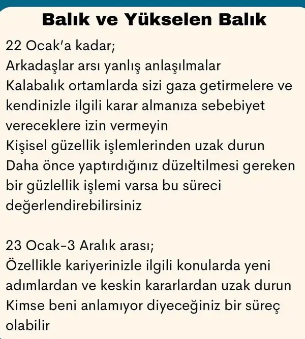mer ret2 (11).webp