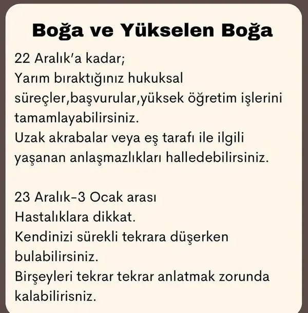 mer ret2 (2).webp