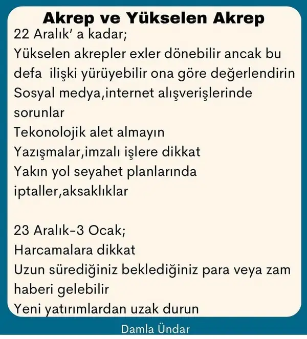 mer ret2 (8).webp