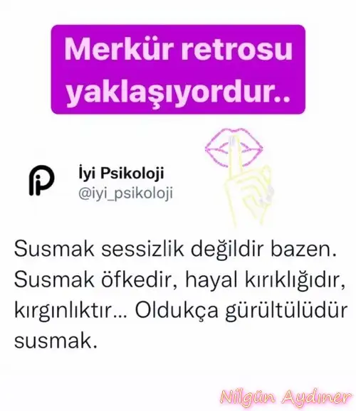 mer ret2.webp